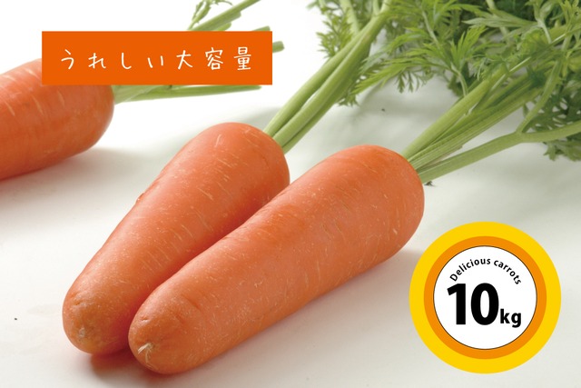 JAあいち中央碧南人参部会｢加工用へきなん美人10kg｣※施設