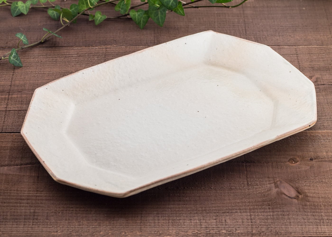 鉄散 八角プレート 大（八角長方皿 ・長皿） ／古谷 浩一