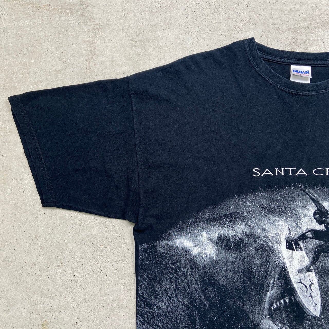 SANTA CRUZ サンタクルーズ ビーチ スーベニア プリントTシャツ