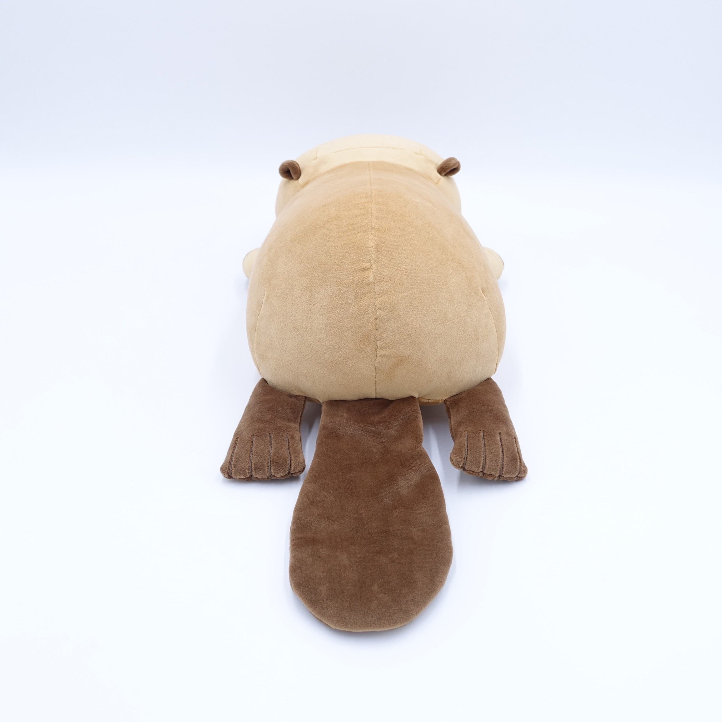 おねむクッション アメリカビーバー(Mサイズ) | NIFREL×NIFREL Online Shop