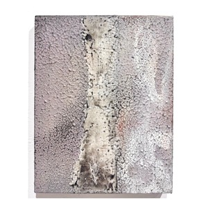 新村葉月　trace 24F0_2