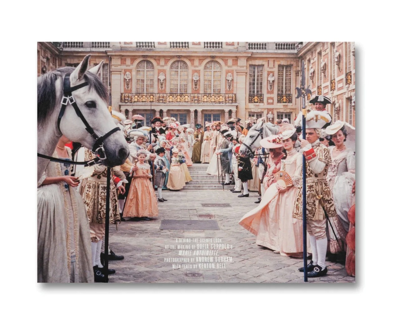 MAKING MARIE ANTOINETTE by Andrew Durham