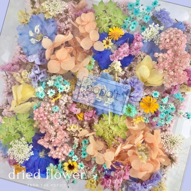 《数量限定》 カラフル花材入り大容量Box 【レジン封入用