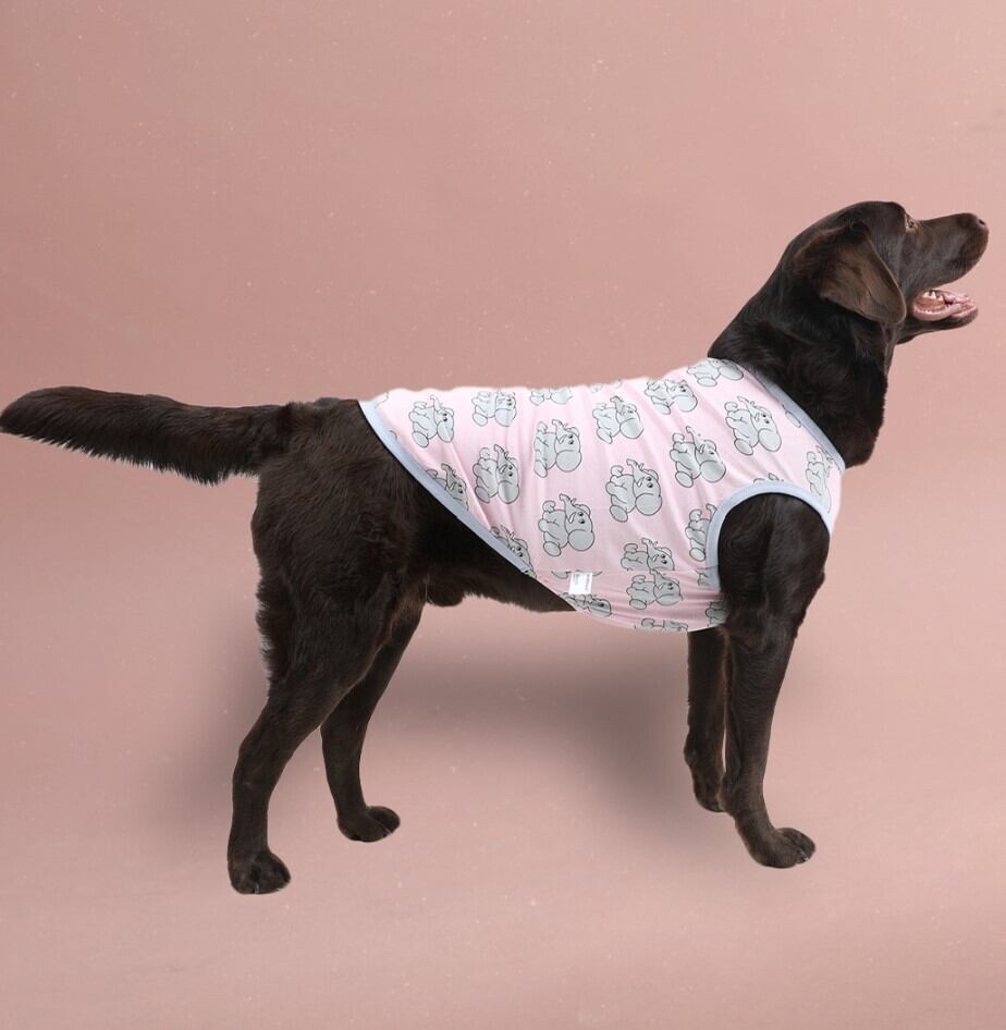 4~6XL/予約【andblank】Jellyfant Sleeveless《BabyPink》