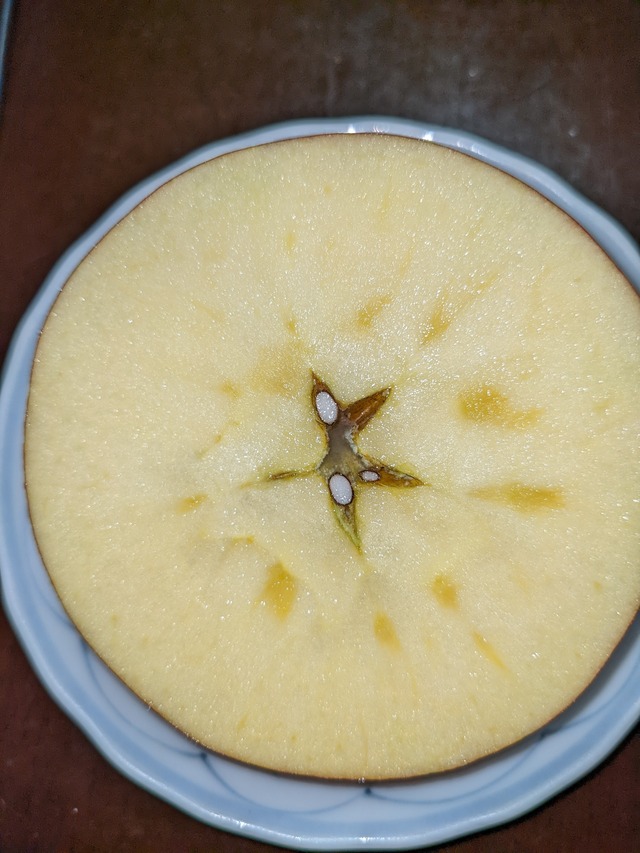 サンふじ　約15㎏（48～54個）　11月上旬から発送します