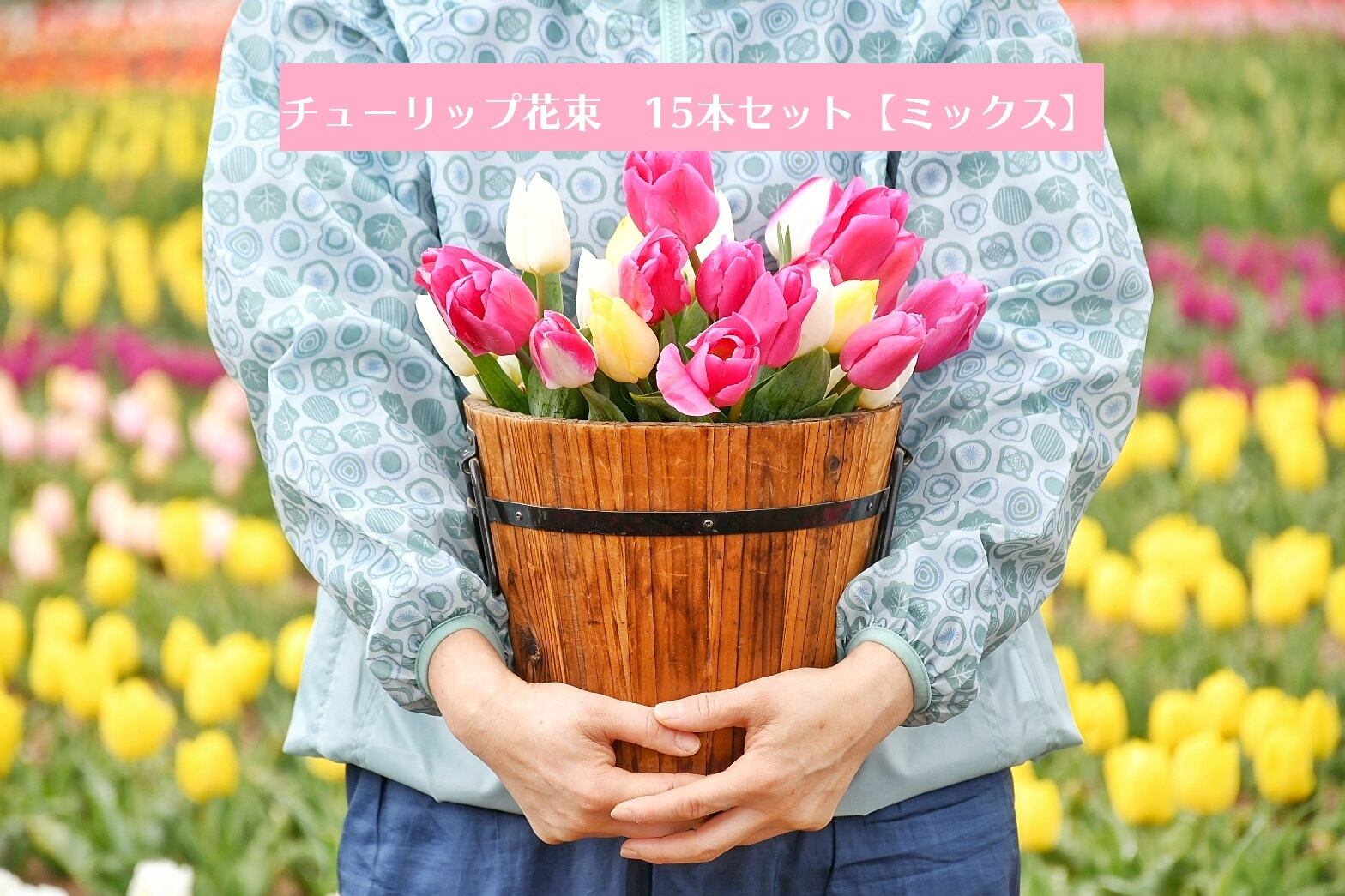 予約受付中 世羅高原しあわせチューリップセット 切り花ミックス15本 世羅高原農場オンラインショップ