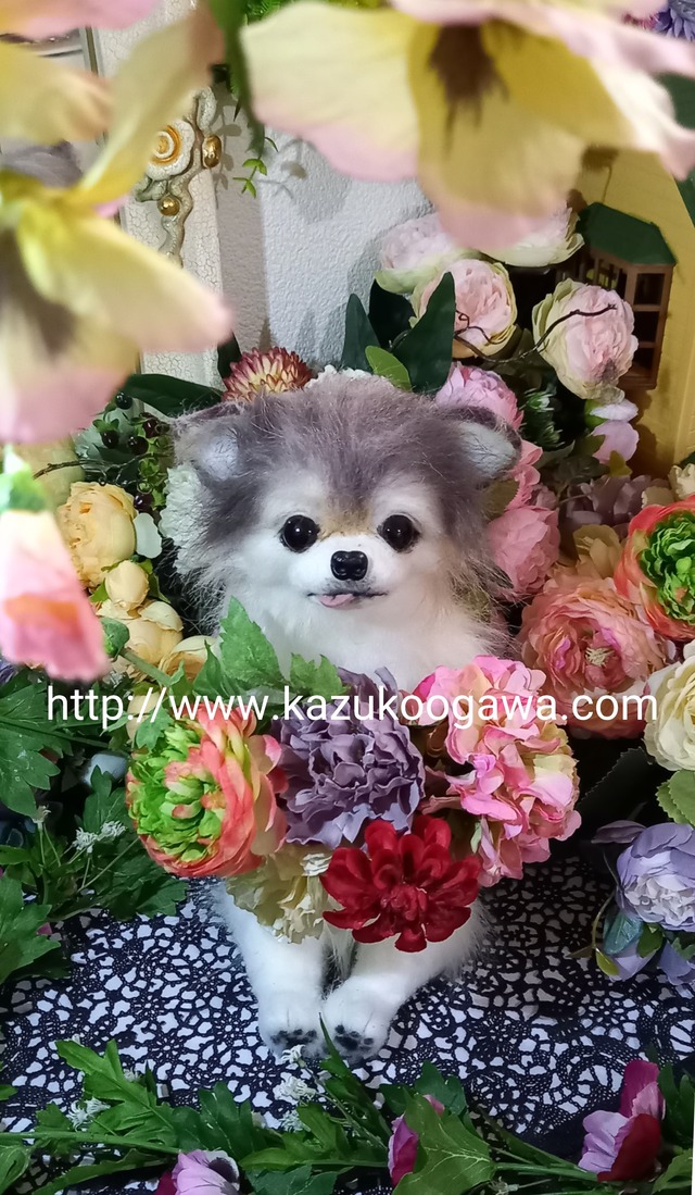 展示写真 チワワ 実物大 リアル ぬいぐるみ 羊毛 カズコオガワ 