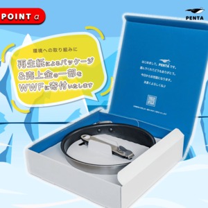 フライパン蓋付きセット 20cm深型 シャンパンゴールド 王様フライパンPENTA（ペンタ）