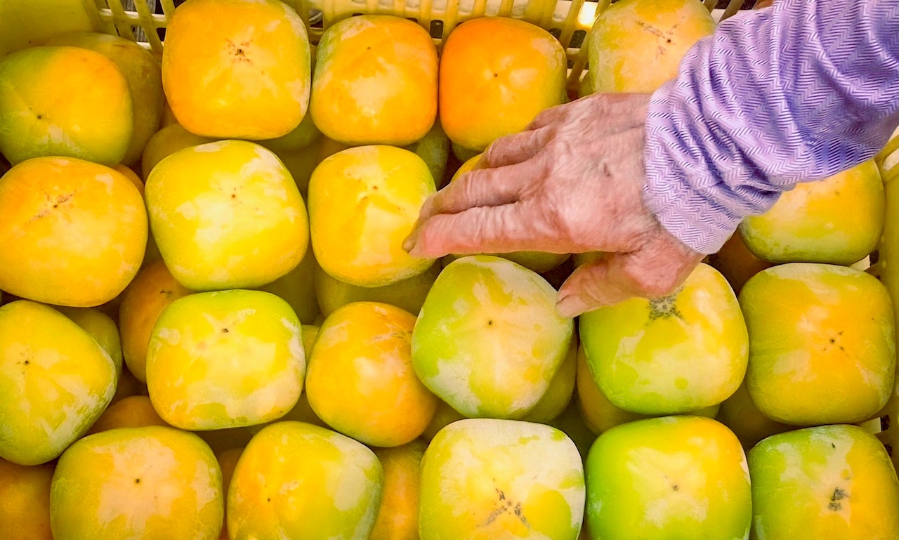 自然の恵みがぎゅっと詰まった!中谷早生(なかのたにわせ)柿 2㎏【グリーンジャンクション】
