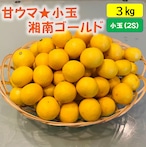 送料無料　甘ウマ☆小玉・湘南ゴールド（２Sサイズ）　３ｋｇ