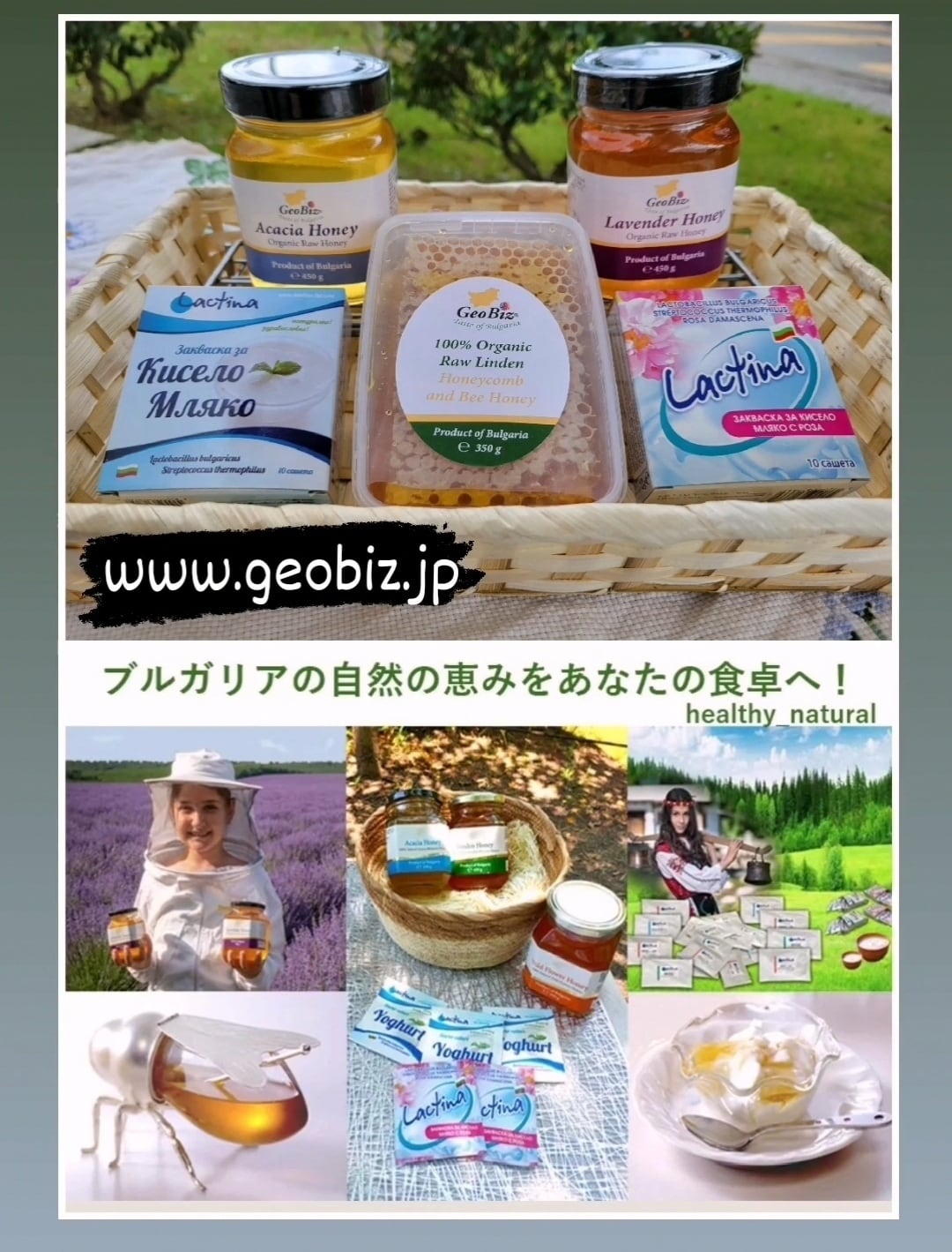 1.350g.ブルガリア産天然非加熱生ワイルドフラワーハチミツ（450gｘ3個) 450g菜の花 生はちみつRapeseed Honey ブルガリア産はちみつ | GeoBiz