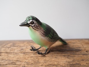 indian bird - 緑の鳥