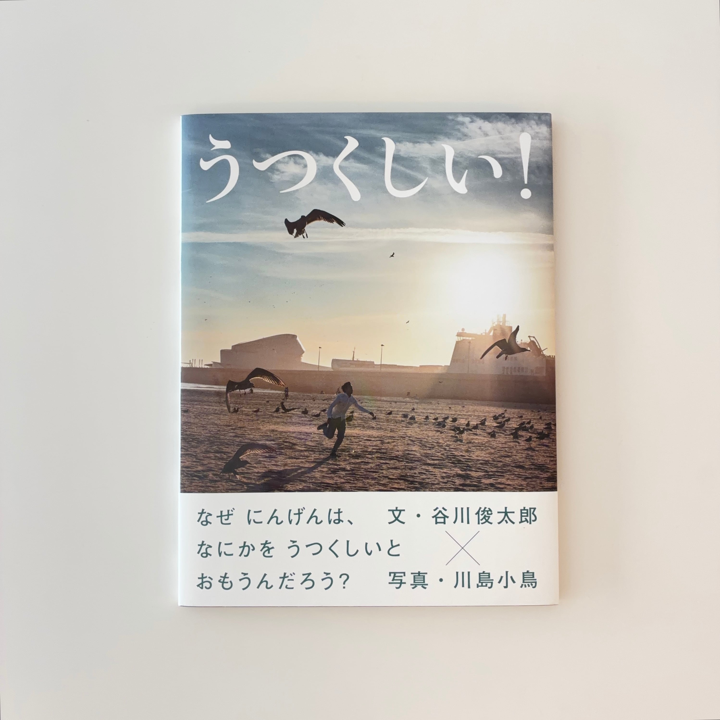 ダイブ・イン・シアター｜柴田聡子 | 本の栞