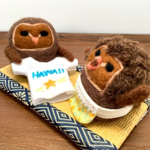 【水仙舎】お土産に喜ぶメンフクロウ