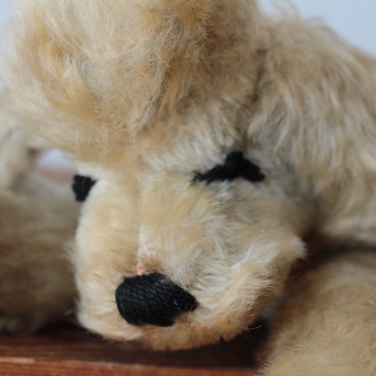 187]アンティーク シュタイフ 眠り犬Floppy Snobbyプードル 犬/dog