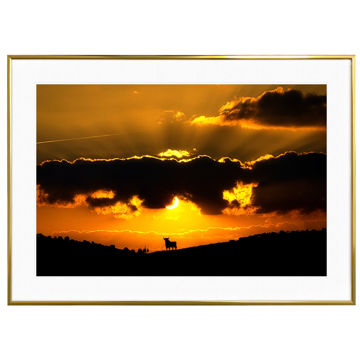 夕日写真 夕焼けと牛 インテリアアートポスター額装 AS1486