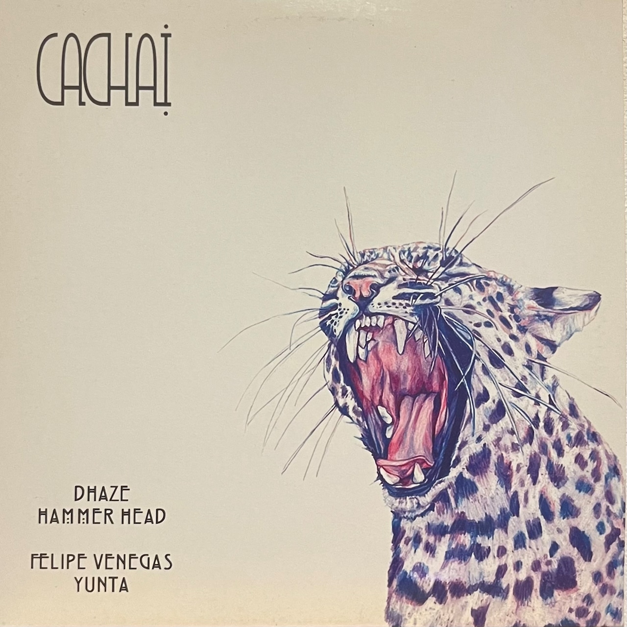 Cachai Ltd 001