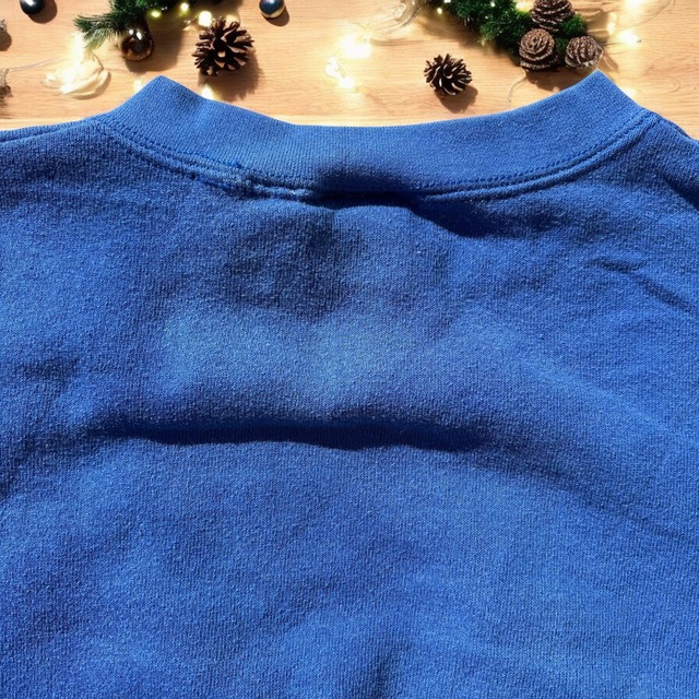 【KIDS】Disney World sweat size:110前後