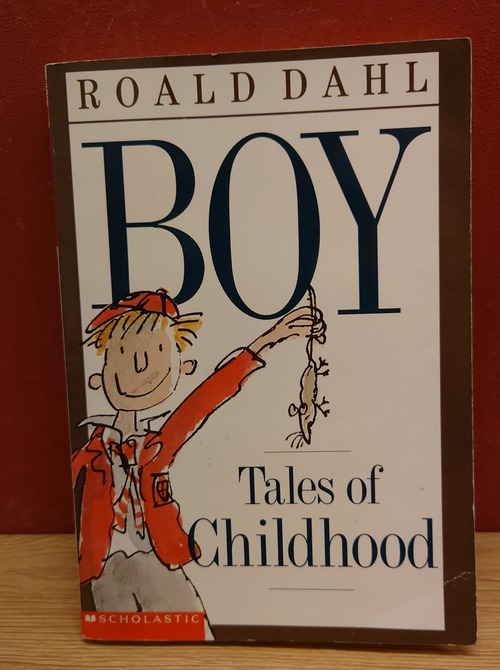 BOY　Tales of Childhood
