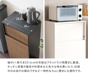 キャスター付き ゴミ箱 45L ごみ箱 ダストボックス
