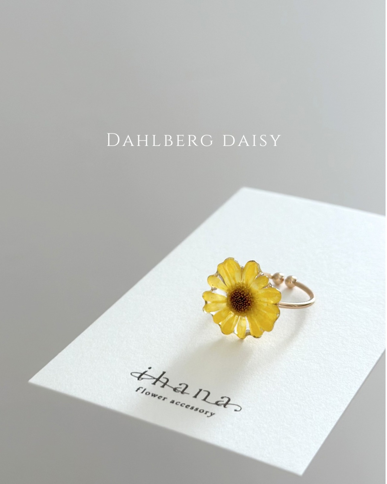 real flower ring「dahlberg daisy 」【1点限定】
