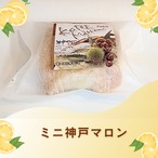 ミニ神戸マロンとレモンケーキの詰合せ　８個入り