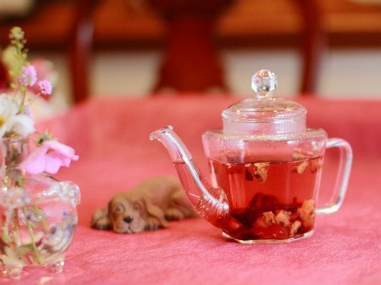 【茶壺 ティーポット(六角形)】:珍しい六角形の縦型ガラスポット!お洒落で、高級感を演出!