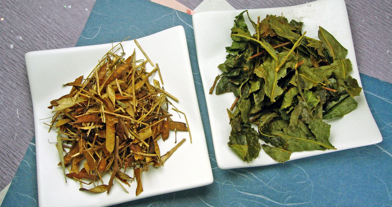 きし豆入り土佐番茶｜リーフ ＜業務用＞ | 土佐茶工房 ｜森木久次郎商店