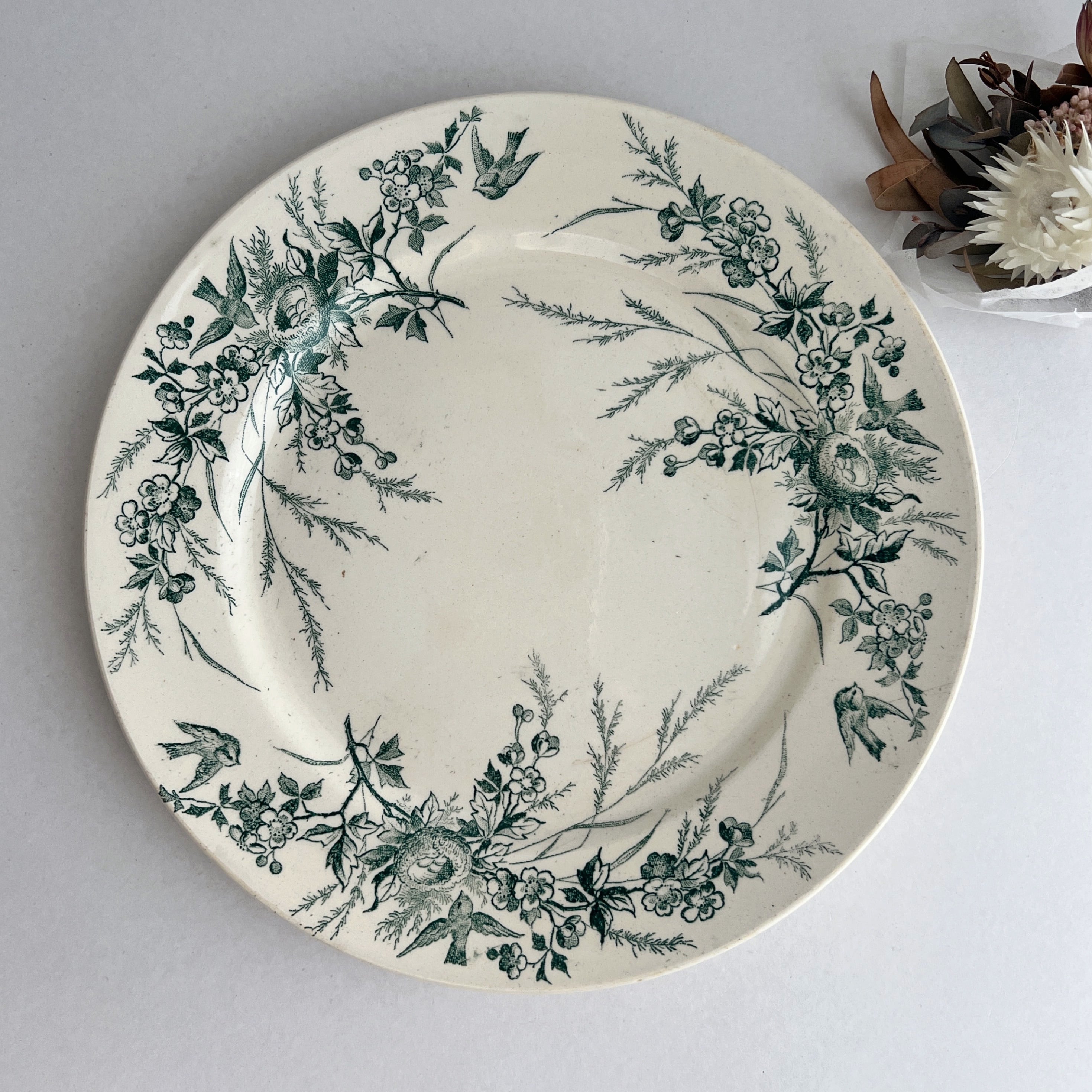 Creil et Montereau(クレイユエモントロー）Rousseau アンティーク