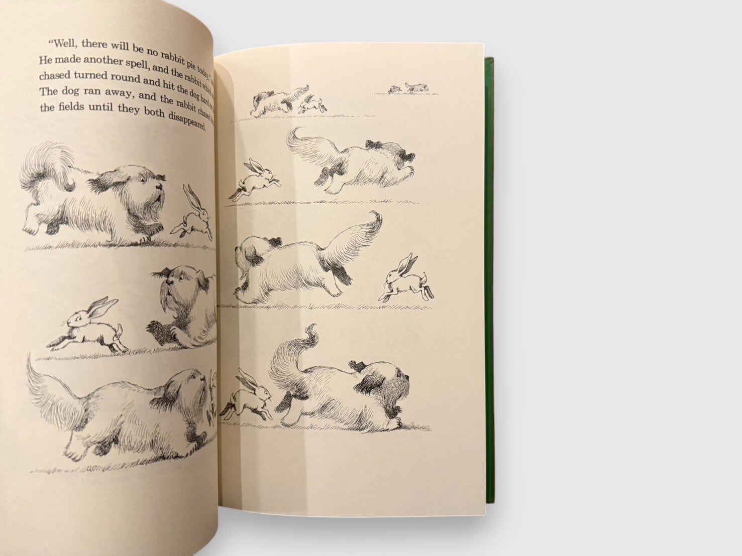 Rik Wouters リック・ウォータース 作品集 洋書 英語版 未開封 SC155】【REPRINT】The Big Green Book, llustrated by Maurice Sendak