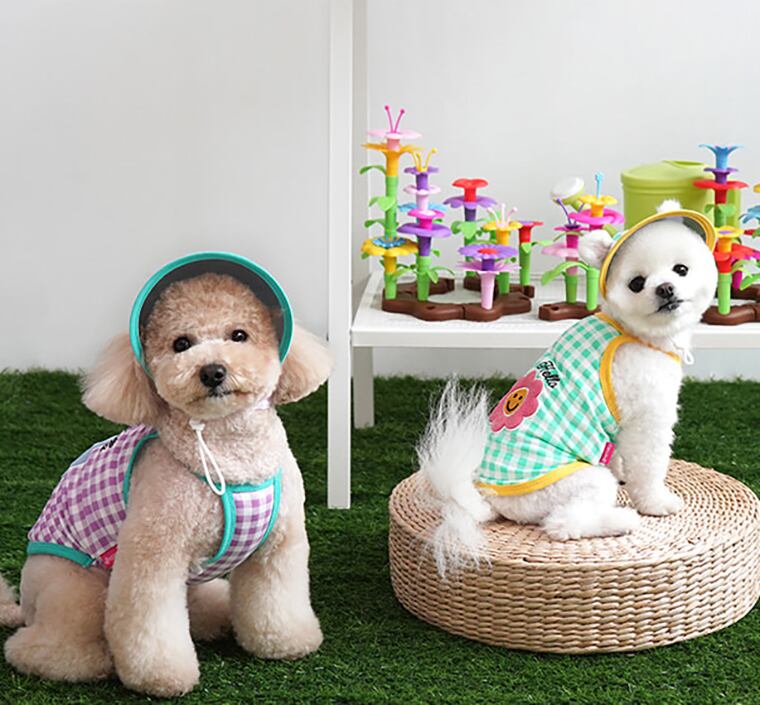 【SALE】 hello sun-visor set S ~ XL 2color / 犬服 夏 新作 サンバイザー 暑さ対策 可愛い 犬の服 ドッグウェア タンクトップ ペット ワンコ服 小型犬 中型犬 猫 top134