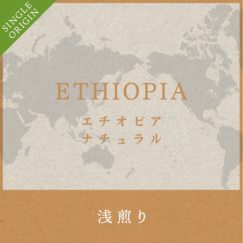 完熟したフルーツのようなトロっとした甘みのエチオピア  コーヒー豆200g  【浅煎り】　送料無料