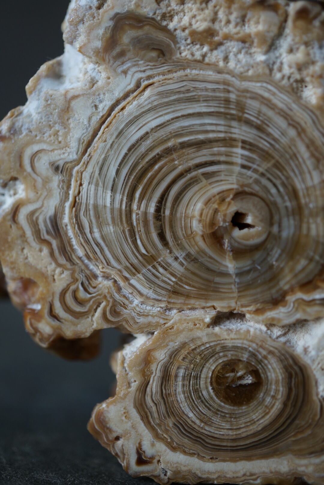 モロッコ産カルサイト/アラゴナイト Calcite / Aragonite 1861 | 叙景