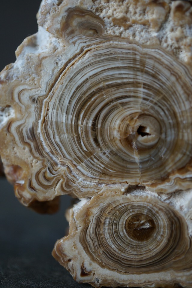 モロッコ産カルサイト/アラゴナイト Calcite / Aragonite 1861