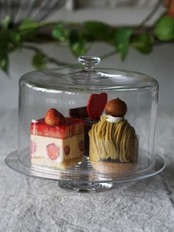 floresta fabrica 鈴木努 ドーム18㎝