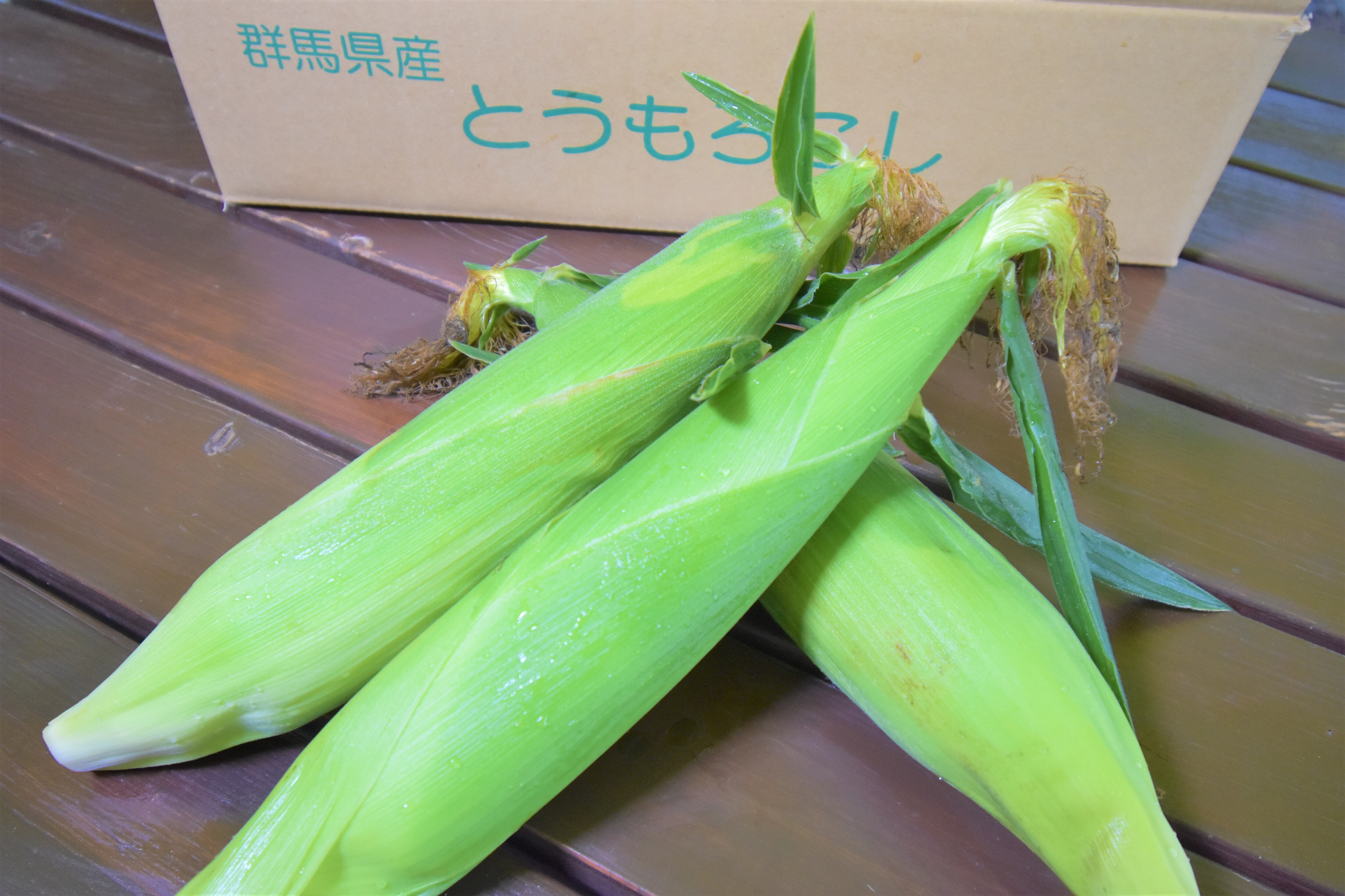 夏季限定»朝採り産直！利根町産とうもろこし／めぐみスター／2Lサイズ