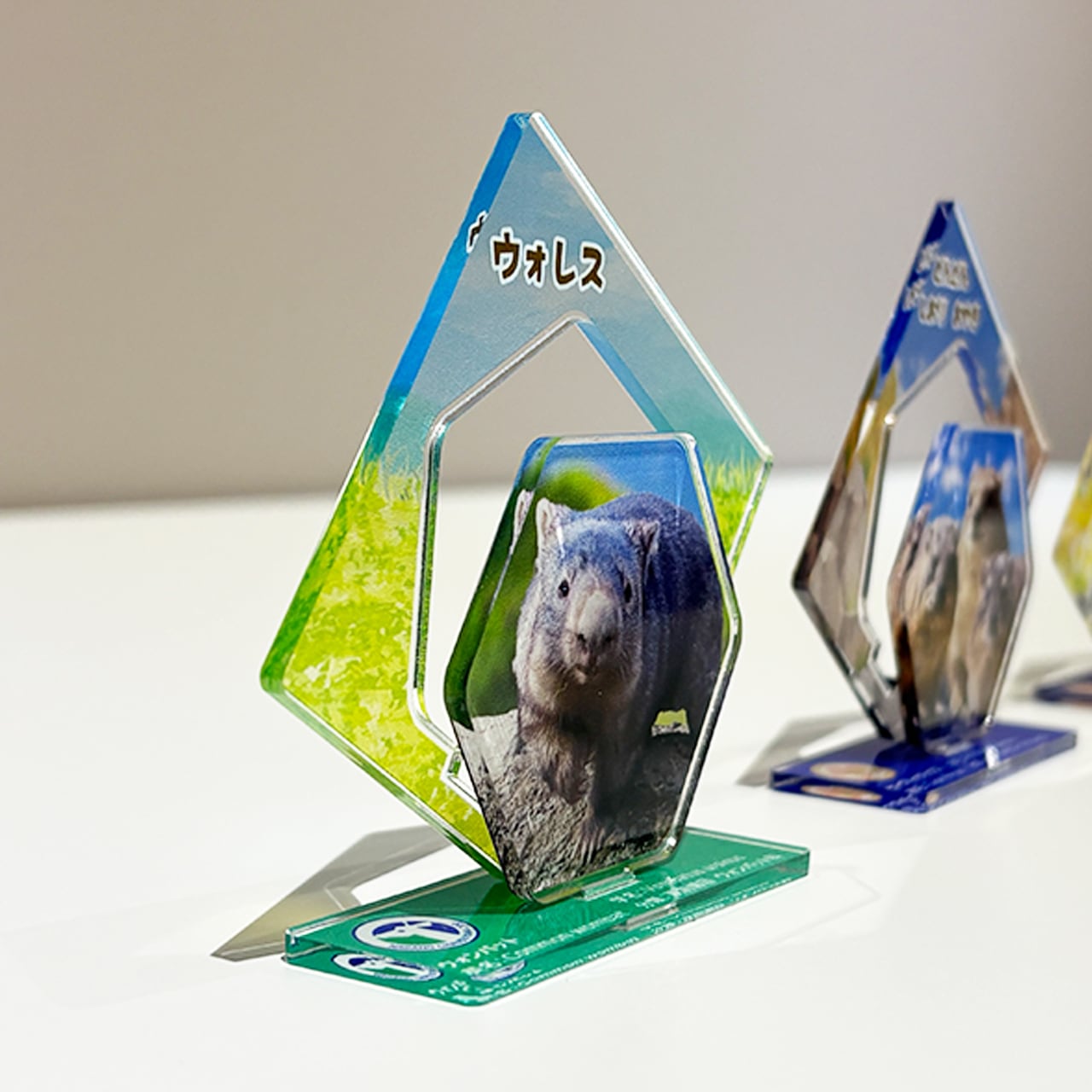 図鑑風アクリルスタンド なかよし動物 3種セット | ZOOっとながの