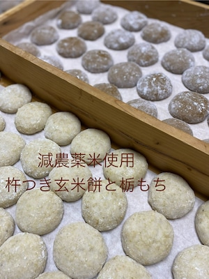 杵つきとち餅と玄米餅　6個入り各1袋セット(送料込み）