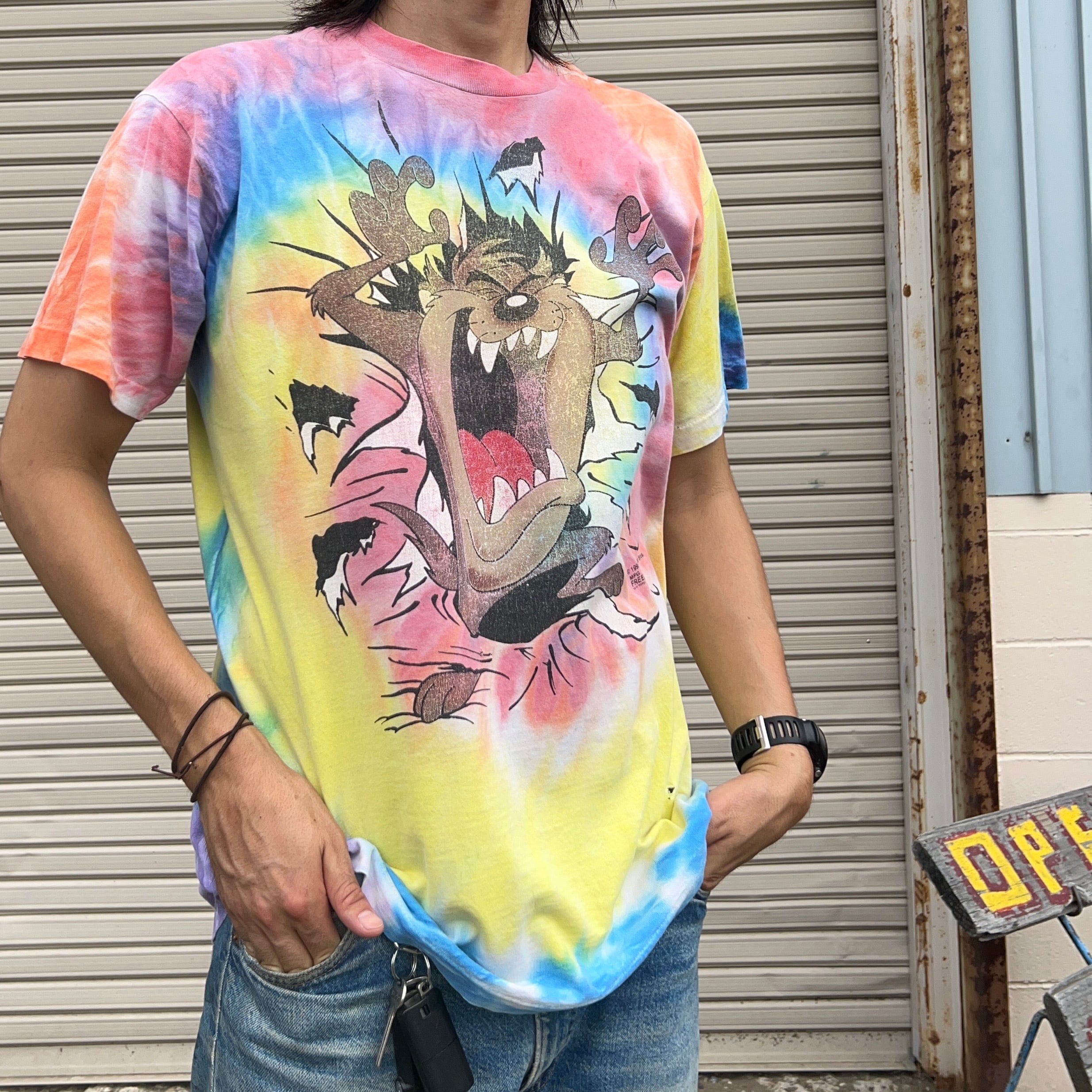 【激レア】ハーレーダビッドソン Tシャツ ルーニーテューンズ タイダイ