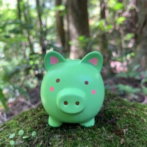【とんきち】貯金ブタさん＊お金コイコイ貯金箱