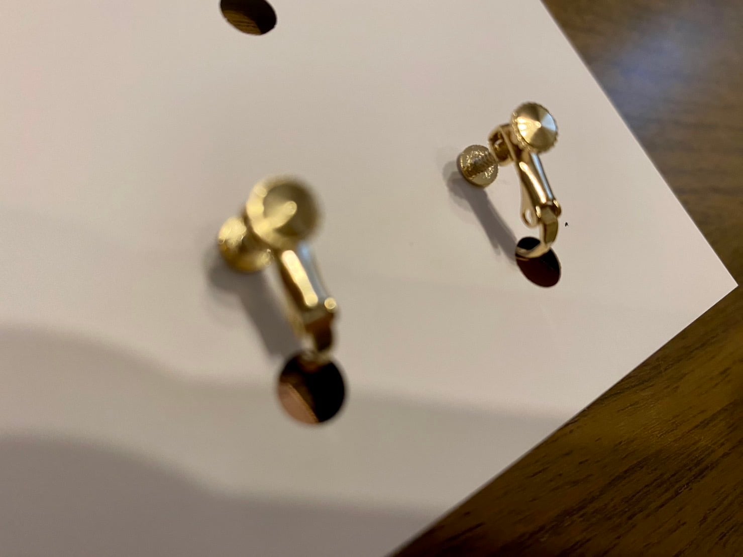 摘まれ茶トラ猫 イヤリング | sukonbu