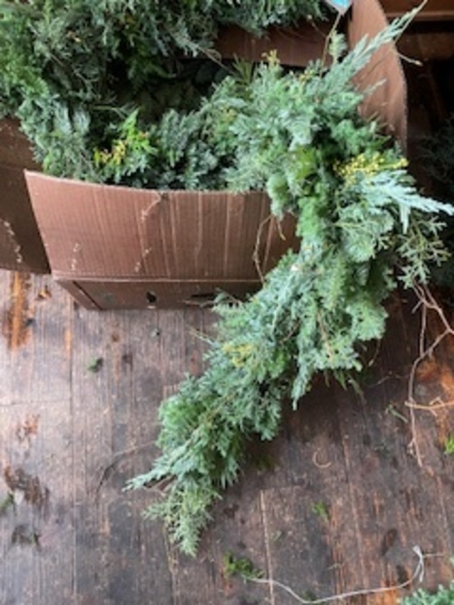 LESSON*PETITaPETIT☆森のガーランド