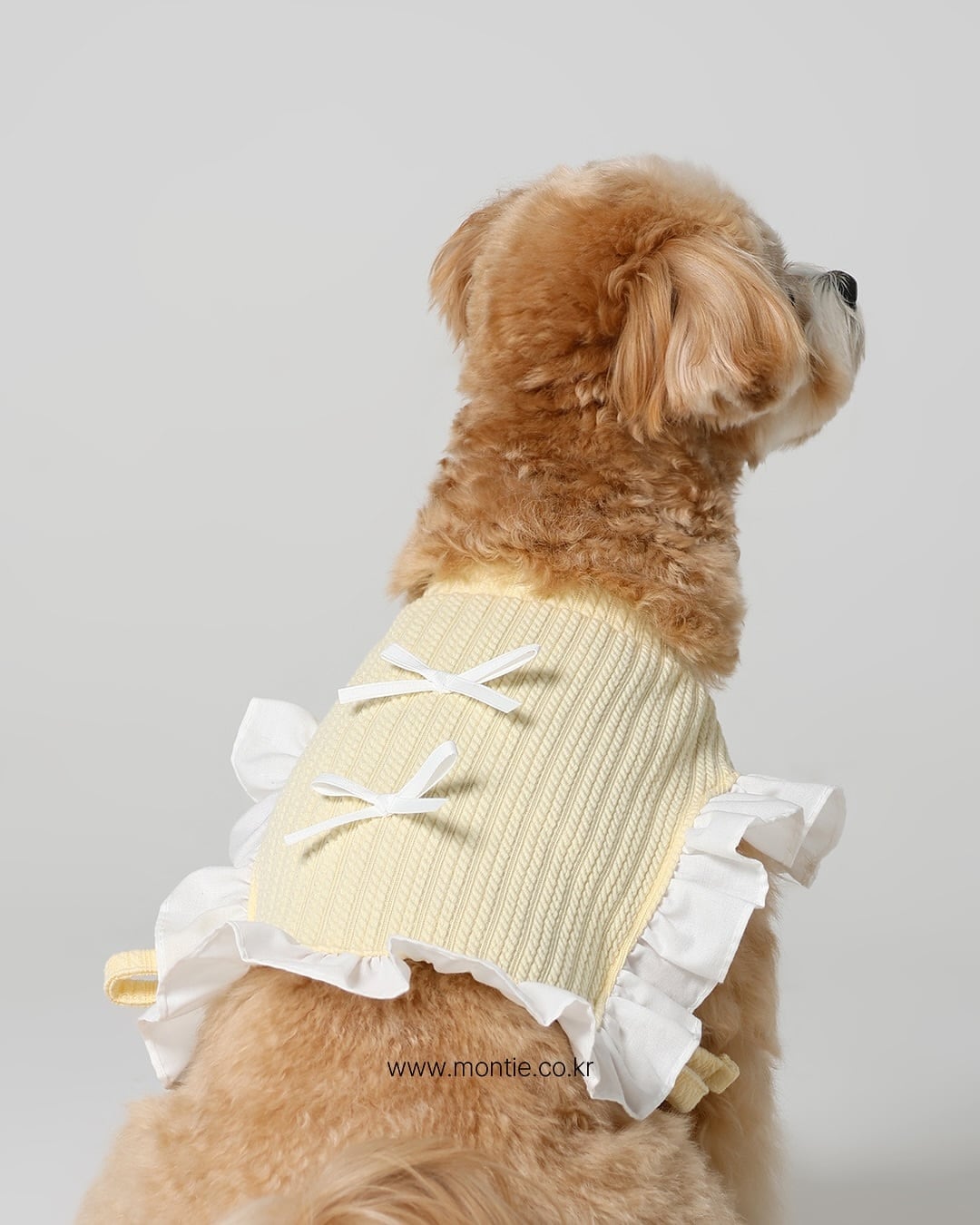 即納] Frill Cape (Yellow)ラストMサイズ | pupuon