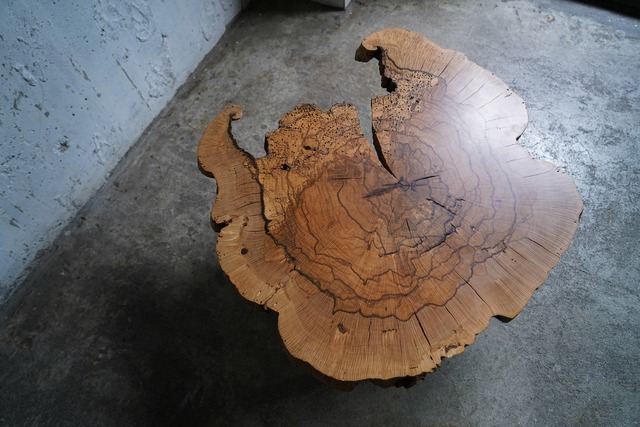 スポルテッド樫の輪切り一枚板 ローテーブル