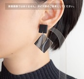 LOOP hogu v1 : Statement Dangles