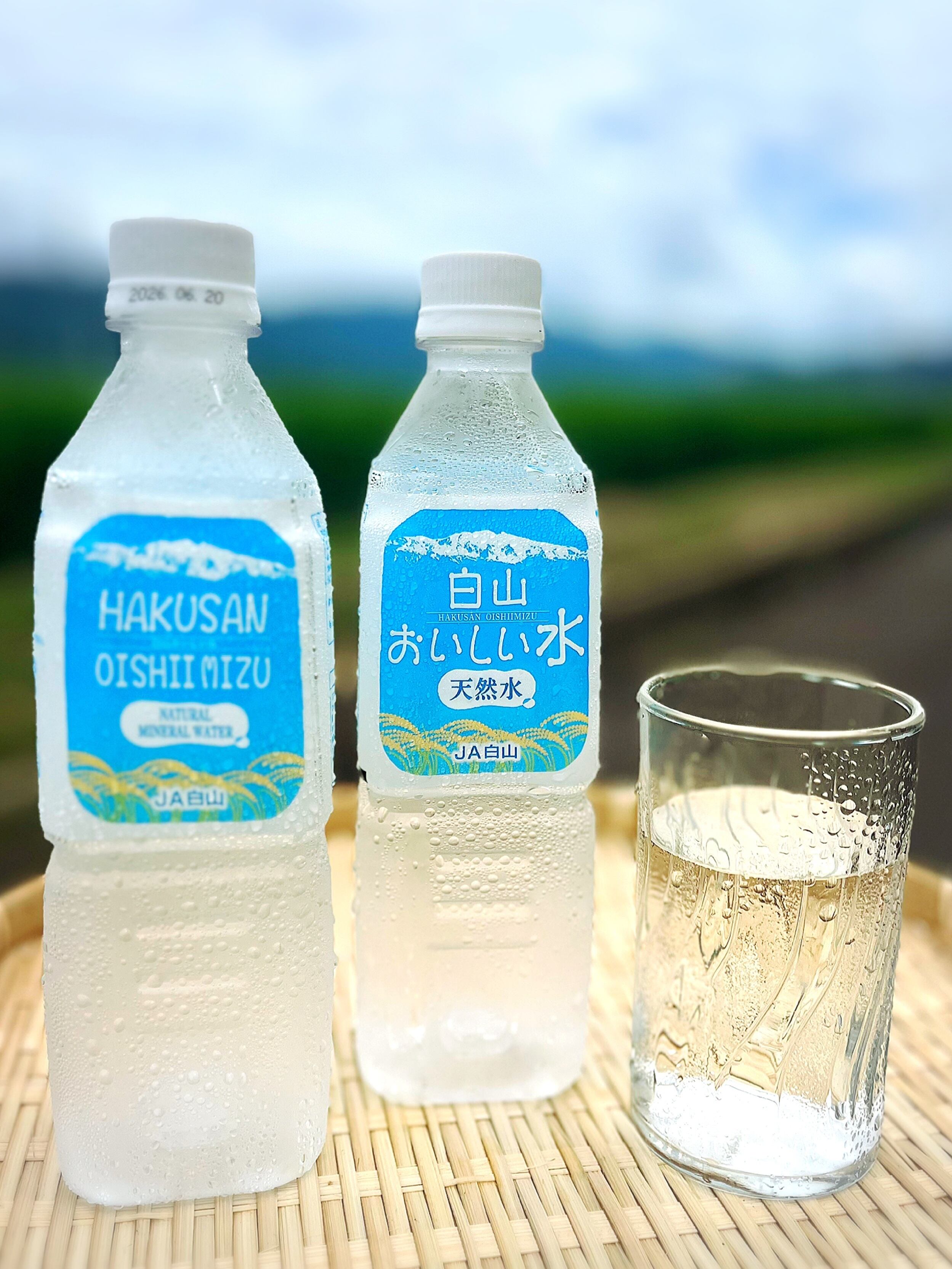 マハロ ミネラルズ（500ml・24本入) | Pay ID