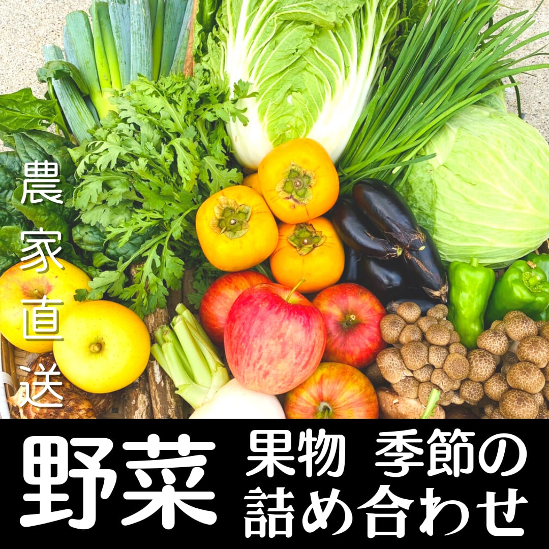 ≪野菜の詰め合わせセット 100サイズ≫　信州採れたて 減農薬栽培されたお野菜 | アルプス山麓あつまるしぇ powered by BASE