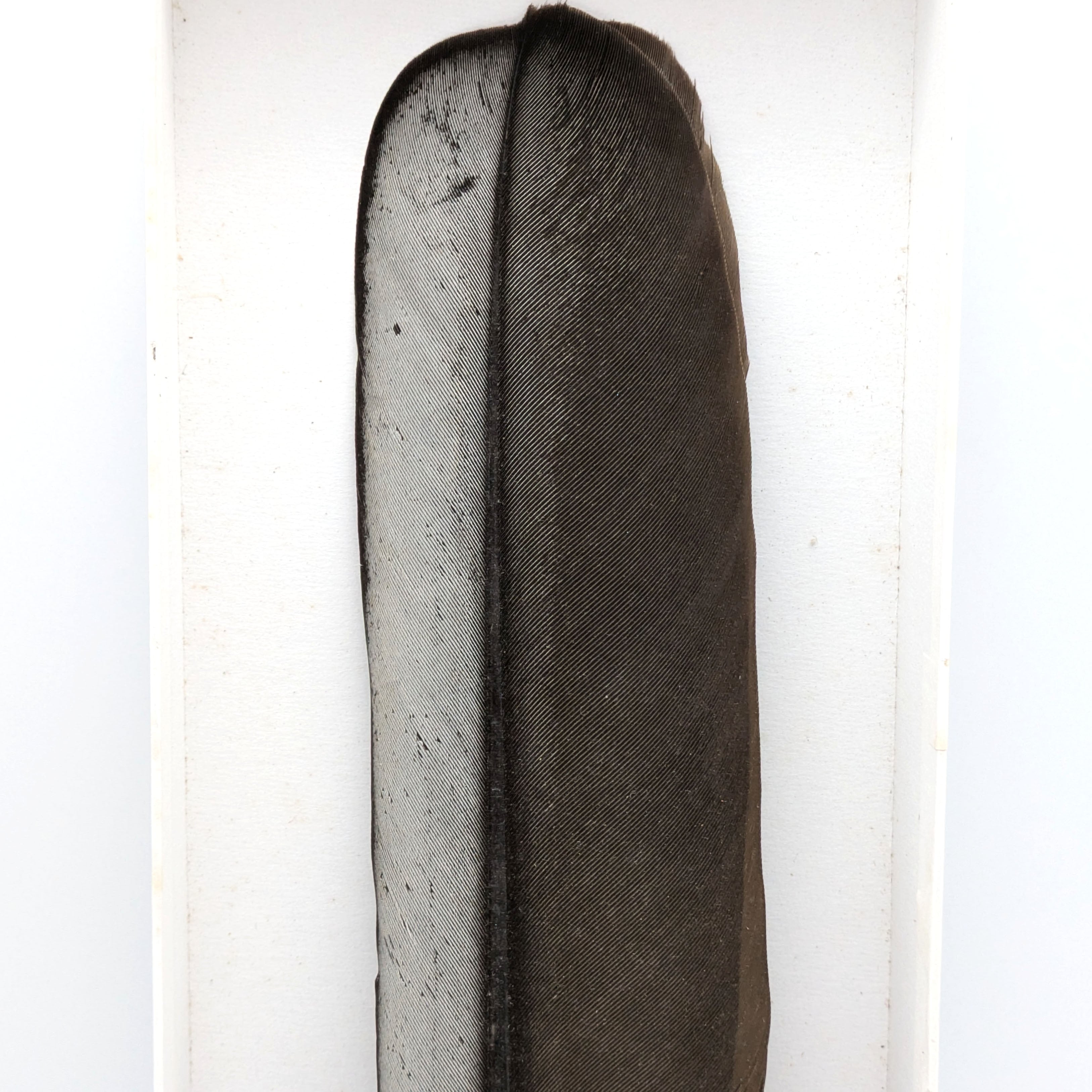 羽箒・羽根箒・三ツ羽根・鴻・箒博・風炉用・茶道具・炭道具・No