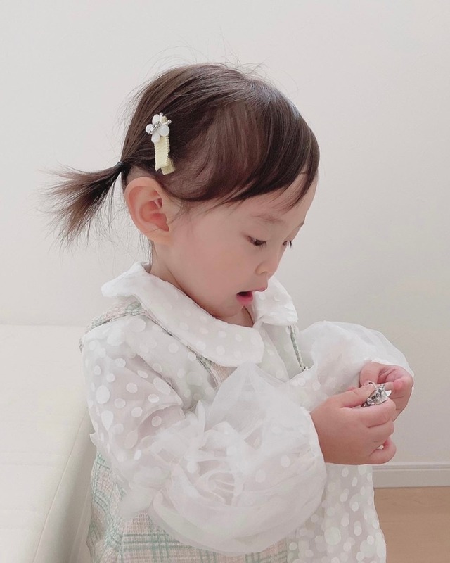 kids hair clip butterfly