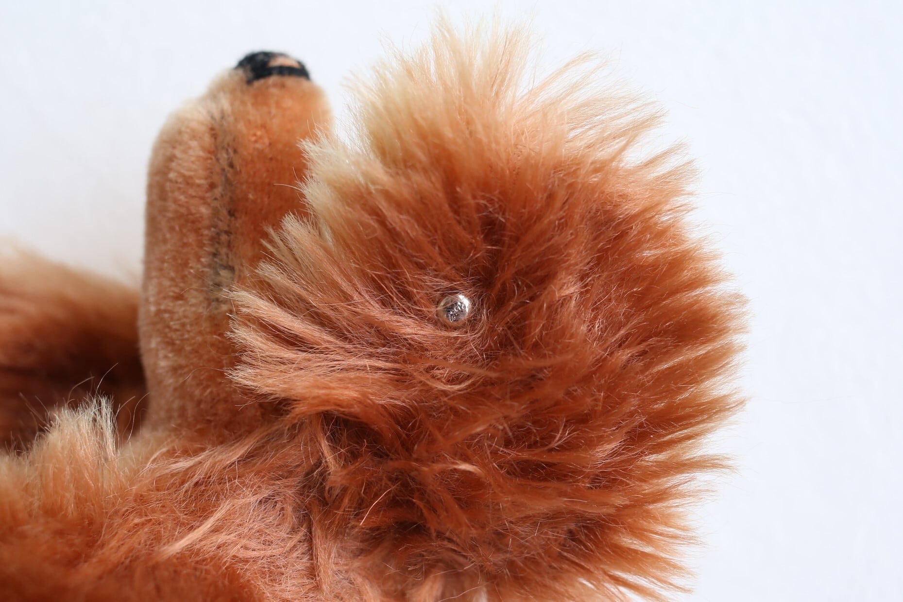 ドイツ ヴィンテージ Steiff シュタイフ ダックスフント『WALDI』 N